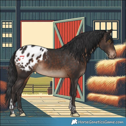 Horse Color:Brown Tobiano Blanket 