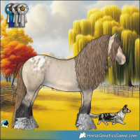 Horse Color:Buckskin Dun Varnish Rabicano 