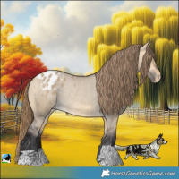 Horse Color:Buckskin Dun Appaloosa Rabicano 