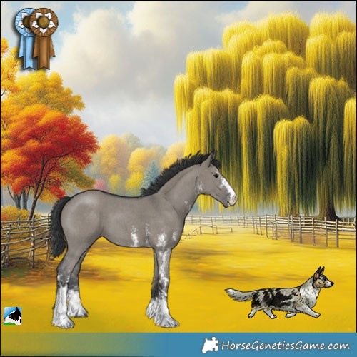 Horse Color:Grullo Mushroom Sabino