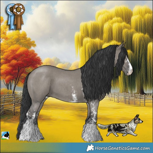Horse Color:Grullo Mushroom Sabino 