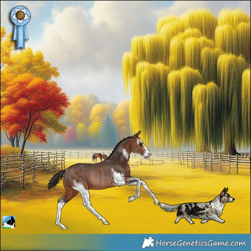 Horse Color:Brown Sabino Rabicano 