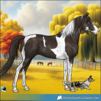 Horse Color:Liver Chestnut Sabino Tobiano 