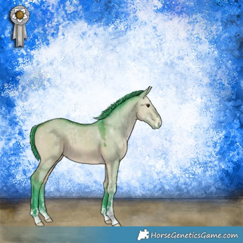 Horse Color:Watercolor Bay Dun Sabino 