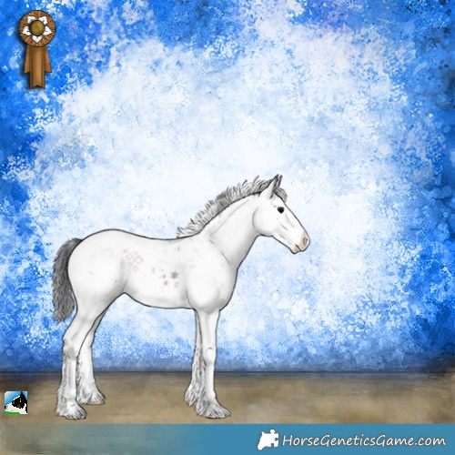 Horse Color:Grullo Ice Onyx Mushroom Sabino 