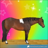 Horse Color:Bay Tobiano 