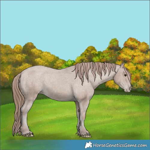 Horse Color:Classic Champagne Varnish 