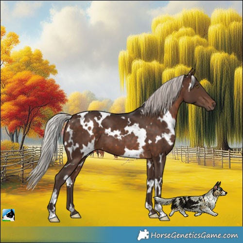 Horse Color:White Spotted Silver Brown 