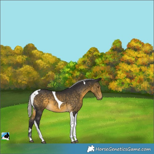 Horse Color:Silver Buckskin Tobiano 