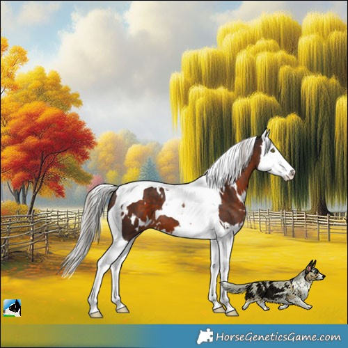 Horse Color:White Spotted Silver Brown Splash Tobiano 