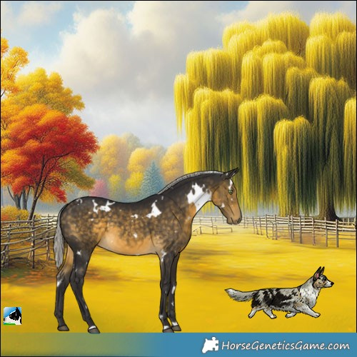 Horse Color:White Spotted Silver Buckskin 
