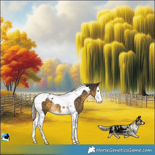 Horse Color:Silver Buckskin Splash Tobiano Rabicano 