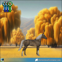 Horse Color:Silver Buckskin Tobiano 