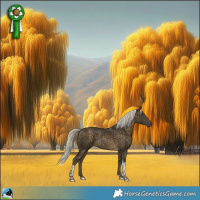 Horse Color:Silver Buckskin Tobiano