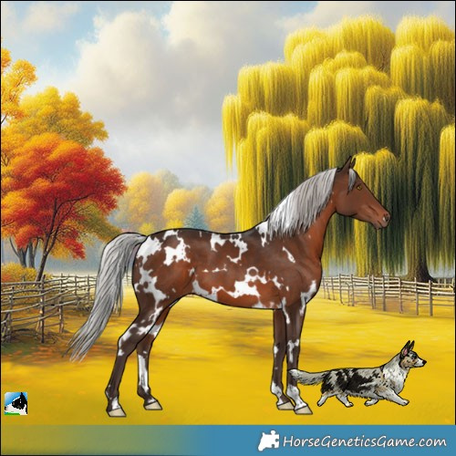 Horse Color:White Spotted Silver Brown 