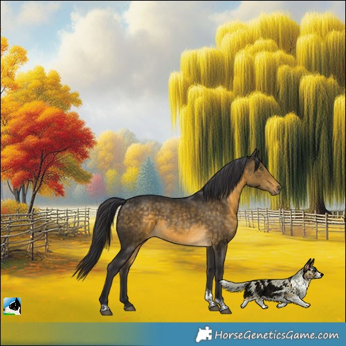 Horse Color:Buckskin Tobiano 