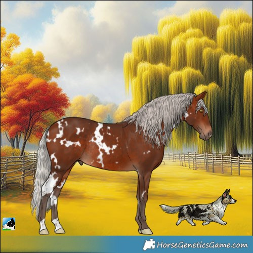 Horse Color:White Spotted Silver Bay Rabicano 