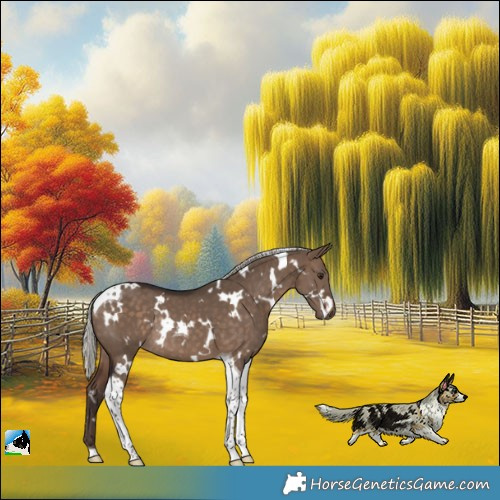 Horse Color:White Spotted Silver Brown Dun Tobiano Rabicano 
