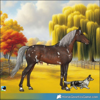 Horse Color:White Spotted Silver Brown 