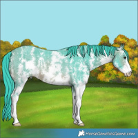 Horse Color:Watercolor Brown Sabino Rabicano 