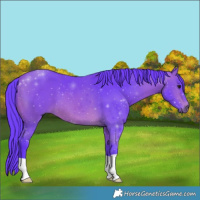 Horse Color:Watercolor Bay 
