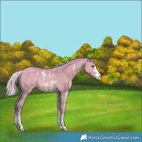 Horse Color:Watercolor Silver Grullo Sabino Rabicano 
