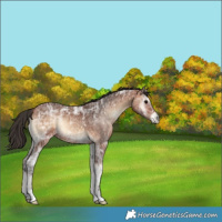 Horse Color:Bay Ice Onyx