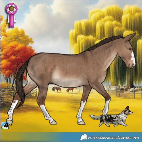 Horse Color:Liver Red Dun Brindle 