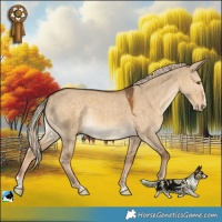Horse Color:Chocolate Palomino Dun Splash Rabicano