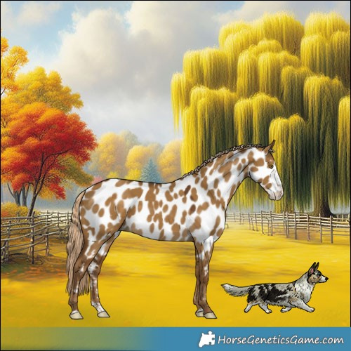 Horse Color:Chocolate Palomino Dun Splash Near Leopard 
