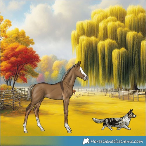 Horse Color:Gray Chocolate Palomino Dun Splash 