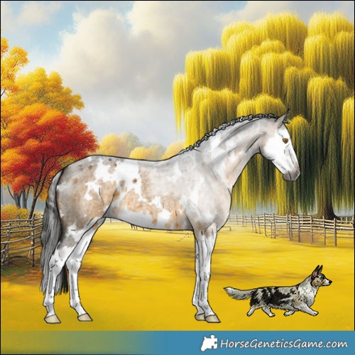 Horse Color:Gray White Spotted Buckskin Roan Dun Splash Brindle 
