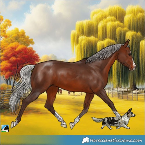 Horse Color:Silver Brown Splash Tobiano 
