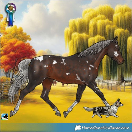 Horse Color:White Spotted Silver Brown Tobiano 