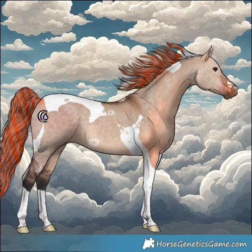 Horse Color:Painted Brown Dun Tobiano 
