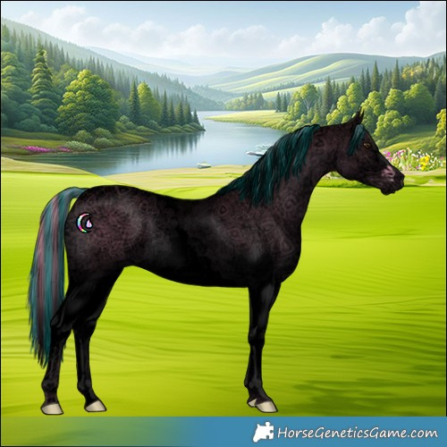 Horse Color:Void Painted Watercolor White Spotted Chestnut Tobiano 