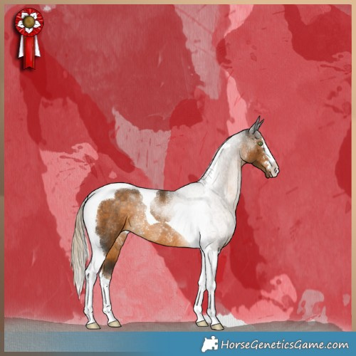 Horse Color:Chocolate Palomino Tobiano Rabicano 