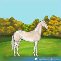 Horse Color:Cremello Tobiano