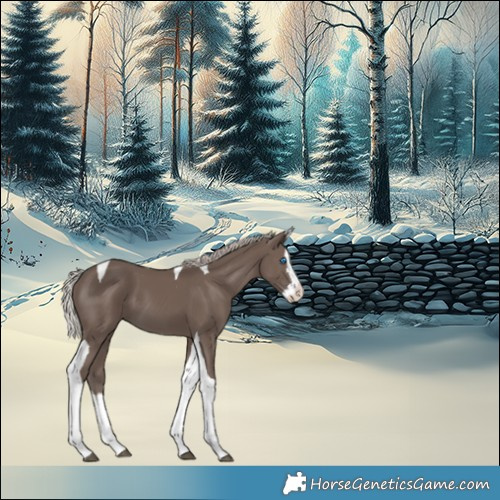 Horse Color:Silver Black Splash Tobiano 