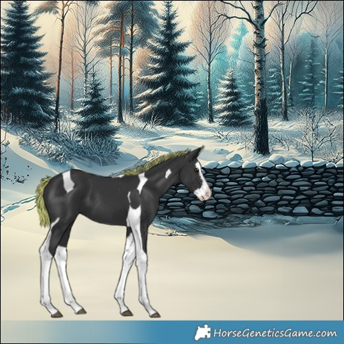 Horse Color:Painted Black Splash Tobiano 