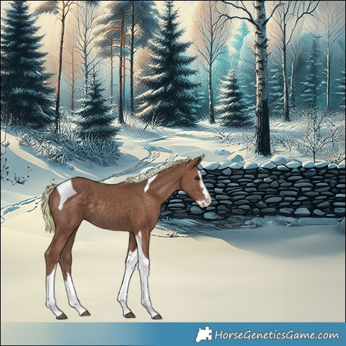 Horse Color:Painted Silver Black Splash Tobiano 