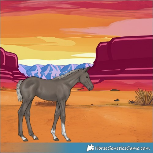 Horse Color:Silver Smoky Black Tobiano 