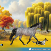 Horse Color:Gray Brown Roan 