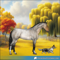 Horse Color:Gray Buckskin Roan Dun Tobiano Brindle 