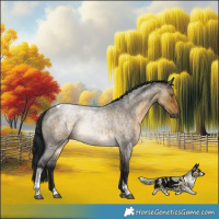 Horse Color:Gray Buckskin Roan Dun Tobiano Brindle 