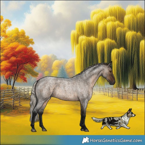 Horse Color:Gray Silver Brown Roan Dun