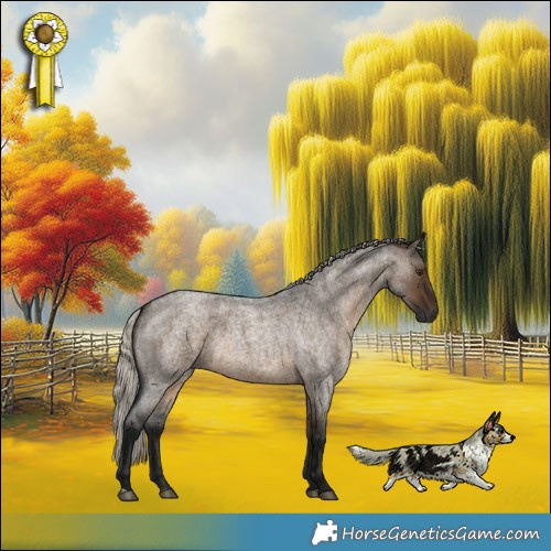 Horse Color:Gray Silver Brown Roan Dun 
