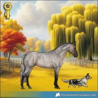 Horse Color:Gray Silver Brown Roan Dun 