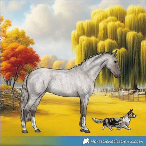 Horse Color:Silver Grullo Roan Tobiano Brindle 