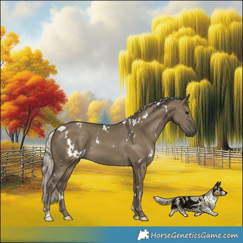 Horse Color:White Spotted Silver Smoky Grullo 